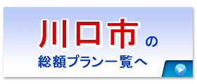 s̑zv