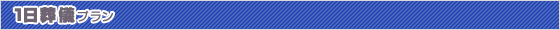 100~v