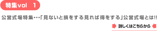 ԌT[rX P